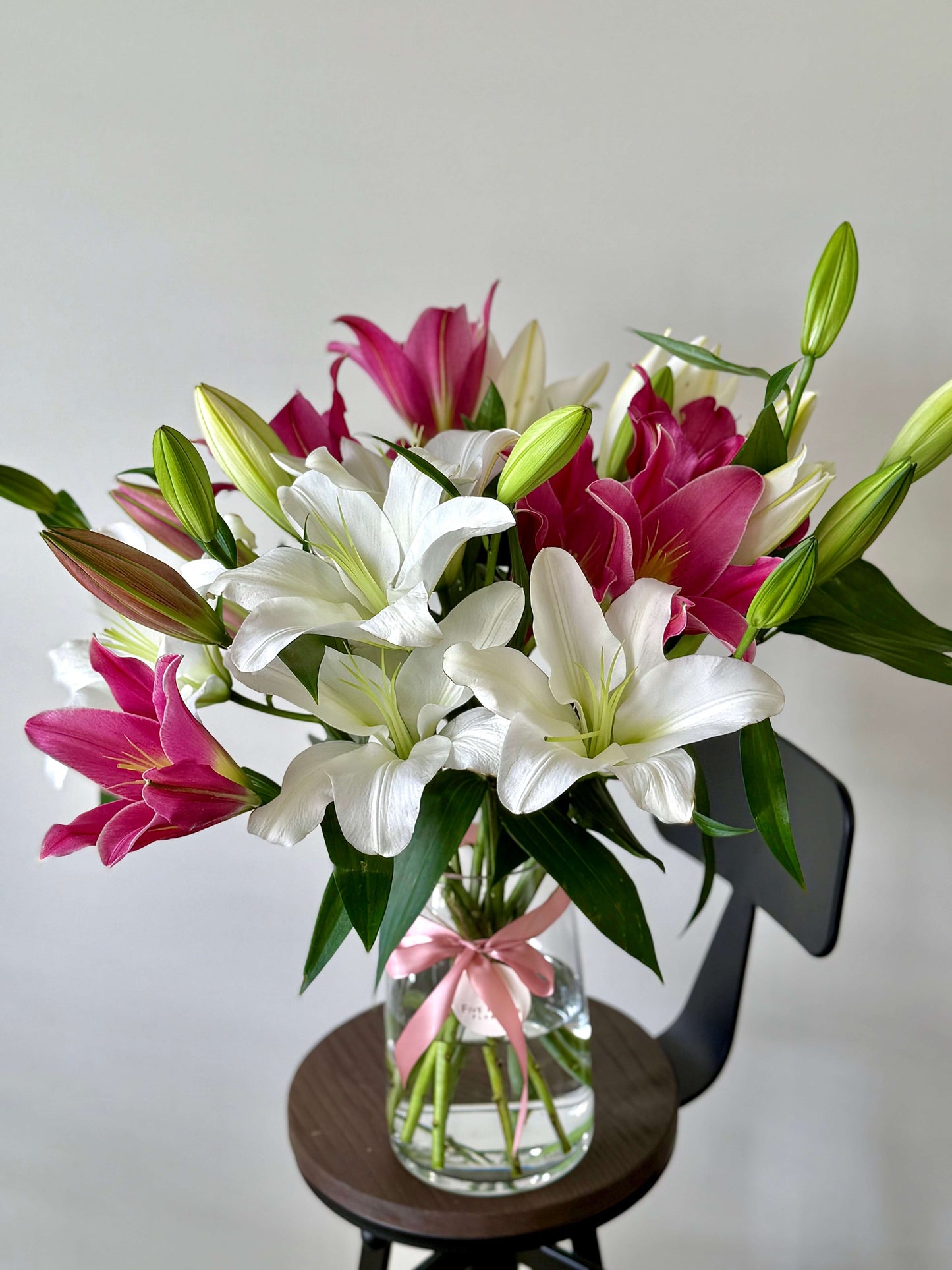 Lily Paradise (Lily ONLY bunch)