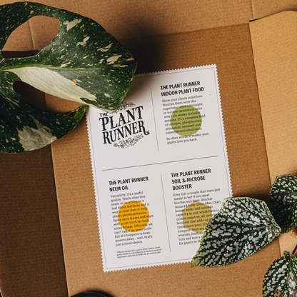 Plant Care Booster Kit